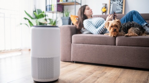luchtreiniger in de woonkamer